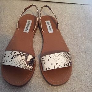 Snakeskin print Steve Madden Alina sandals